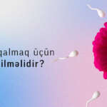 Hamilə qalmaq üçün nələr edilməlidir? - Drxanim.az
