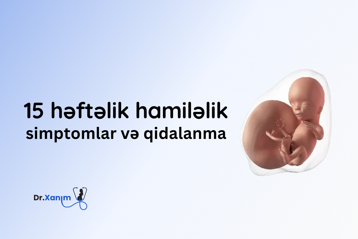 15 həftəlik hamiləlik