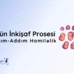 dolun inkisaf prosesi, addim-addim hamilelik