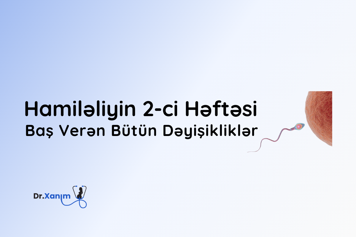 hamileliyin ikinci heftesi