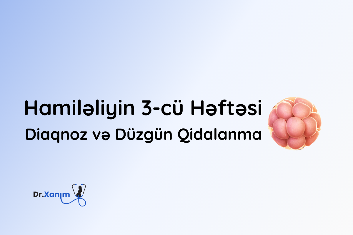 hamileliyin 3-cu heftesi