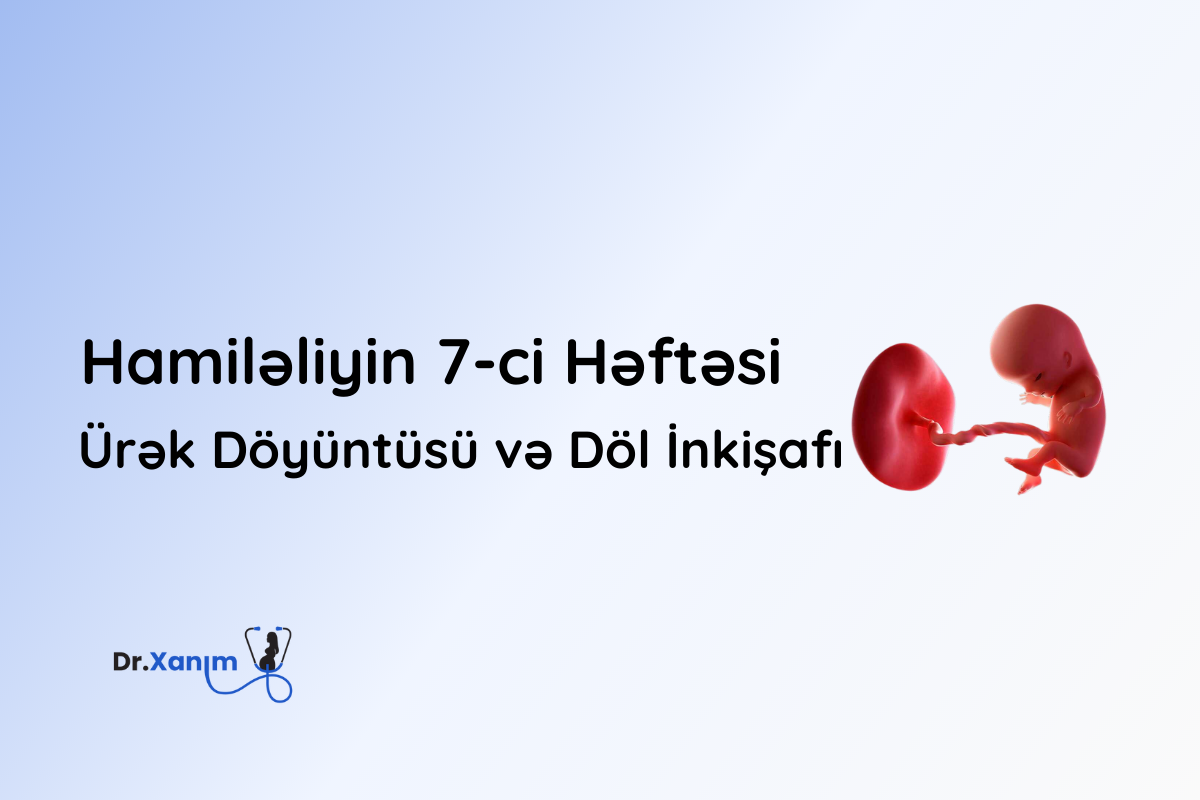 hamileliyin 7-ci heftesi